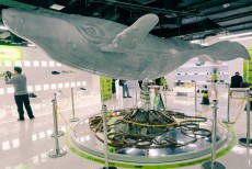 Museum of Toy dan Carstensz Mall Hadirkan Departement Store untuk Merek Lokal Mengglobal