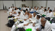 Menag Pastikan Seluruh Jamaah Haji RI Dapat Tenda Sebelum Wukuf