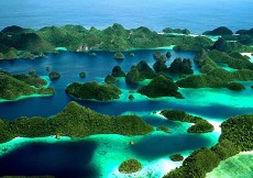 Geger di Raja Ampat: Izin Pertambangan Dihentikan di Lokasi Snorkeling Wisata Terkenal Yang Sudah Masuk Geopark
