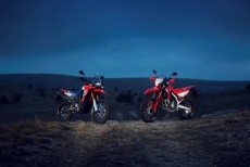 Honda Luncurkan Motor Adventure CRF250 Rally dan CRF250L Terbaru