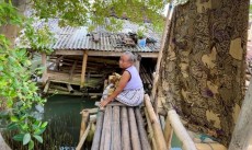 Cerita Mbah Sumaerah Setengah Abad Akrab dengan Rob di Pantura Jawa, Berharap Tanggul Laut Segera Selesai