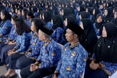 Pemerintah Resmikan PPPK Paruh Waktu Bergaji ASN untuk Pegawai Honorer, Apa Saja Kategorinya?
