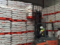 Sempat Ditolak Pemkot Medan, 30 Ton Beras UEA Kini Dikelola Muhammadiyah