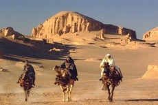 Jejak Baru di Tanah Ansar: Abu Bakar dan Strategi Adaptasi di Madinah