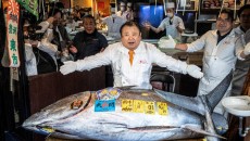 Raja Tuna Jepang Bayar Rekor Rp 52,8 Miliar untuk Tuna Sirip Biru Raksasa di Lelang Tokyo