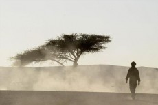 Dispensasi Ibadah bagi Musafir: Dasar Hukum dan Batas Toleransi Fikih dalam Perjalanan