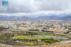 Hujan Musim Semi Hiasi Gurun Arab Saudi, Ubah Pemandangan Menjadi Hijau