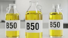 Peneliti UI: Implementasi Biodiesel B50 Perlu Penguatan Produksi Sawit di Sektor Hulu