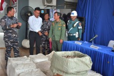 TNI AL Gagalkan Penyelundupan Sisik Trenggiling Jaringan Internasional Di Merak Senilai Miliaran Rupiah