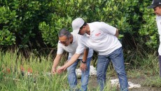 ITS-BRIDA Teken Kerja Sama, Inisiasi Living Laboratory Mangrove Surabaya