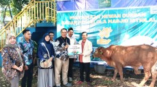 Semarak Qurban Muamalat 2026, Bank Muamalat Bagikan 109 Hewan Kurban di Berbagai Daerah