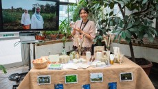 Dari Hutan Sulawesi ke Panggung Dunia: Kisah Nilam Indonesia yang Menghidupi Ribuan Petani