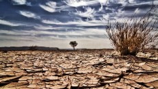 Analisis Dampak El Nino di Dunia: Bagaimana Iklim Global, Harga Pangan Hingga Risiko Kemanusiaan