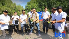 BTN Tanam 10.000 Bibit Mangrove di Bali, Perkuat Ketahanan Pesisir