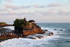 Virus Zika Merebak, CDC Minta Wisatawan AS Tunda Trip ke Bali
