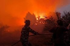 Tanggap Darurat Karhutla, TNI AL Bersama Tim Gabungan Padamkan Kebakaran Lahan di Jambi