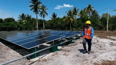 PLTS PLN Bikin Pulau Rengit Terang 24 Jam, Nelayan Bisa Simpan Rajungan Lebih Lama
