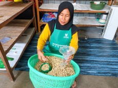 BAZNAS Microfinance Desa Sukses Kembangkan Usaha Tempe Mustahik Binaan