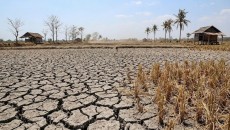 El Nino Tahun Ini Capai Rekor Suhu Tertinggi Sepanjang Masa