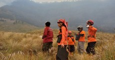 Suraji Meninggal Usai Dirawat Intensif, Korban Karhutla Bromo Jadi 6 Orang