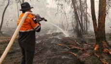 Baznas Terus Gencarkan Aksi Penanganan Karhutla di Kalimantan