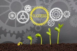 Empat Strategi Transformasi UMKM dan Koperasi Modern