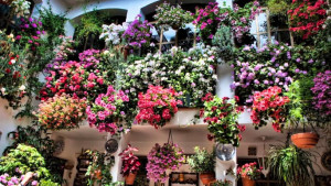 Penataan Unik Bawa Sentuhan Granada ke Sudut Rumah