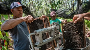 Yayasan Baitul Maal PLN NTB Inisiasi Desa Budi Daya Lebah Madu