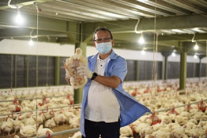 Kandang Modern Closed House IPB University Panen 42.700 Ekor Ayam