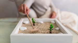 Taman Zen Imut di Meja Kerja, Bantu Rileks Saat Jenuh