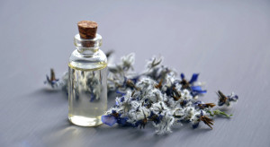 Khasiat Minyak Kasturi untuk Tubuh, Aroma Kesukaan Rasulullah SAW