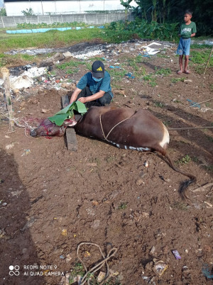 Suka Cita Warga RT 12 Kampung Pedurenan Dapat Shalat Id dan Potong Hewan Qurban