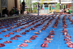 MUI Imbau Distribusi Daging Qurban Jangkau Saudara Muslim Terpapar Covid-19