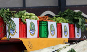 Gandeng Petani, Dinas Kehutanan Jabar Bantu Pangan untuk Satwa