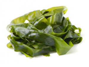 Mahasiswa ini Kembangkan Kemasan Makanan dari Rumput Laut Pengganti Styrofoam