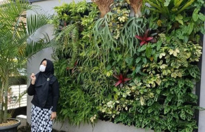 Berawal dari Hobi, Pasutri Ini Bisa Bangun Rumah dari Bisnis Tanaman Hias