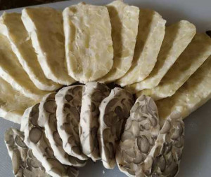 Koperasi BUMR Dorong Penggunaan Kacang Koro Stop Impor Kedelai