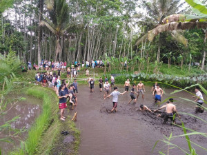 Desa Pentingsari, Desa Wisata di Yogyakarta yang Mendunia