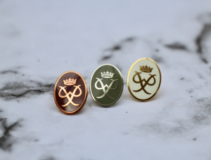 The Duke of Edinburghs Award, Penghargaan untuk Anak Muda Berprestasi