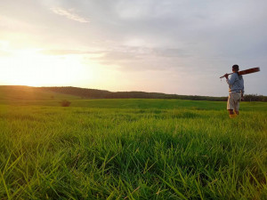 Sembawa, Sabana di Banyuasin dengan Nuansa New Zealand