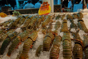 Berjuang dari Nol, Guru SD Ini Sukses Budi Daya Lobster Air Tawar