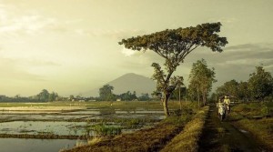 Desa Wisata Gegesik Kulon, Usung Konsep Wisata Budaya