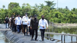 Tambak Udang KKP di Aceh Timur Ciptakan Multiplier Effect