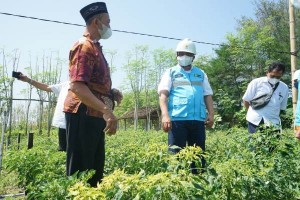Beralih dari BBM ke Listrik, Rezeki Petani Bantul Kian Mengalir di Lahan Pasir