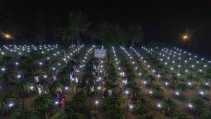 PLN Dorong Peningkatan Sektor Pertanian Lewat Energi Listrik