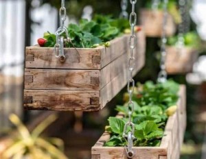 Jangan Dibuang, Kreasikan Palet Kayu untuk Kecantikan Dekorasi Rumah