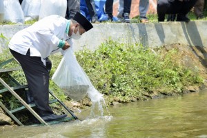 Kunjungi Ponpes Syamsul Huda, Uu Tebar 100 Ribu Benih Ikan