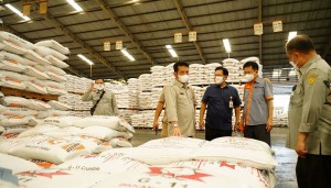 Kementan Pastikan Ketersediaan Jagung untuk Pakan Ternak Aman