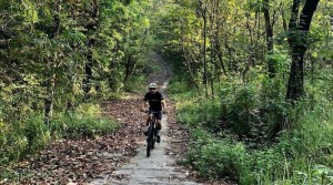 Hutan Wisata Tinjomoyo Dibuka untuk Jalur Olahraga