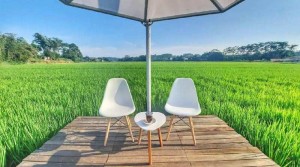 Kopi Bersamamu, Rekomendasi Tempat Nongkrong dan Wisata Agro di Semarang